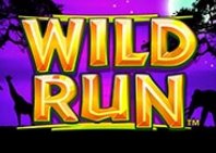 Wild Run (Дикий прогон)