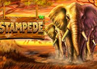 Stampede (паническое бегство)