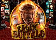 Ragin' Buffalo