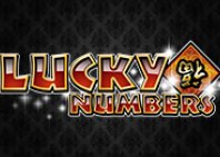 Lucky Numbers (Счастливые номера)