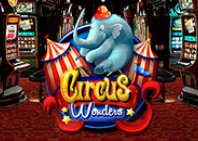 Circus Wonders (Чудеса цирка)