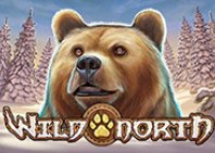 Wild North (Дикий Север)